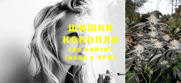 гашик Заволжье
