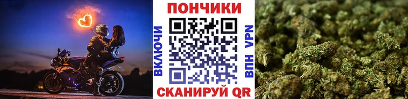 Канабис конопля  Купить закладки  Сертолово 